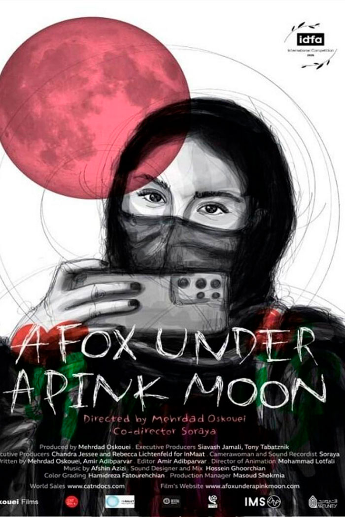 a_fox_under_a_pink_moon_web