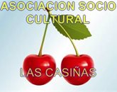 Asociacion Sociocultural de Vecinos y Amigos de Las Casiñas